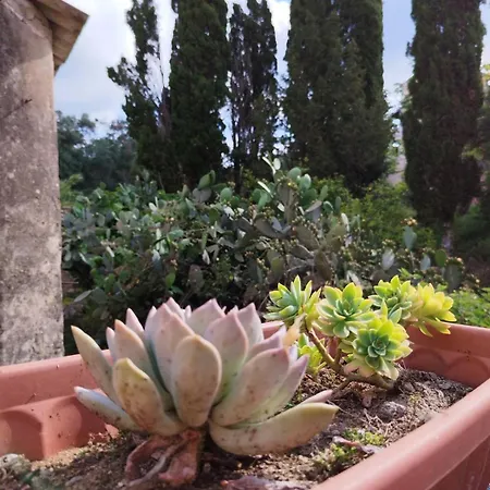 Traditional House With Loft -michalis' House In Kouramades- Kouramádes
